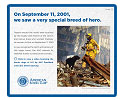 A Special Breed of Hero A Special Breed of Hero