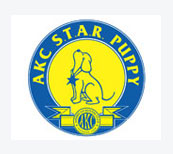 AKC S.T.A.R. Puppy