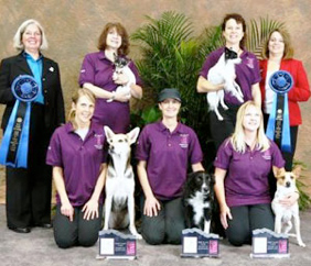 AKC Invitational Winners