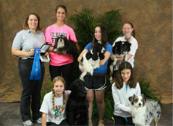 Junior Agility High Combined Winners