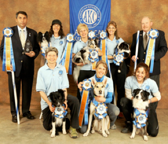AKC Agility Champions