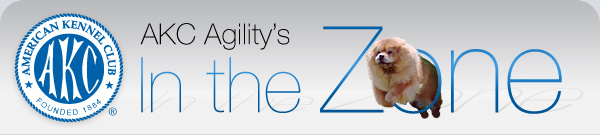AKC Agility's In the Zone