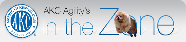 AKC Agility's In the Zone