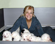 Jere Marder with Old English Sheepdog pups