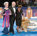 AKC Eukanuba National Championship