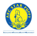 AKC S.T.A.R. Puppy