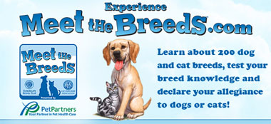 Experience Meet the Breeds!