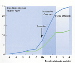 Days of Ovulation