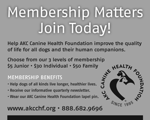AKC Canine Health Foundation -- Membership matters, join today!