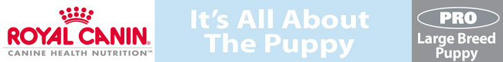 Royal Canin: It's All About the Puppy.