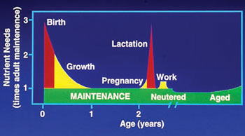 Nutrient Needs