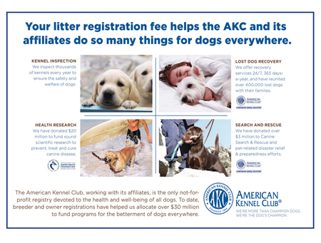 AKC Litter Fee Registration benefits