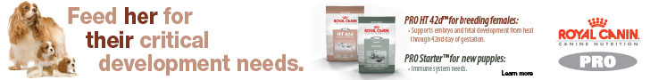 Royal Canin: Feed her for their critical development needs.