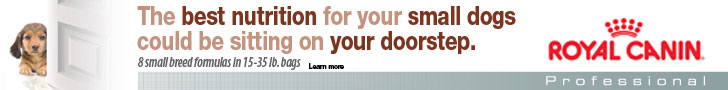 The best nutrition for your small dogs could be sitting on your doorstep.