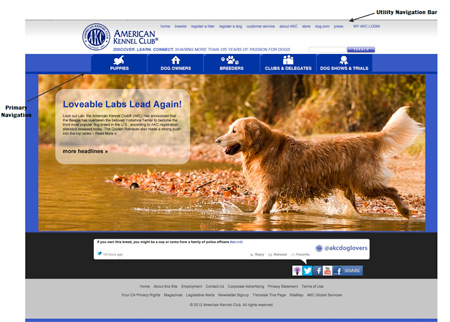 New AKC website