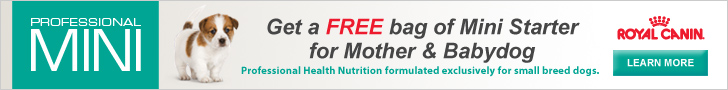 Get a Free bag of Mini Starter for Mother and Babydog!