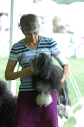 Owner-Handler with dog