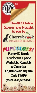 Cherrybrook Puppy ID Bands - 12 colors in 1 pack! Only $16.99