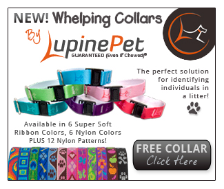 New whelping collars from Lupine Pet. Free collar -- Click Here!