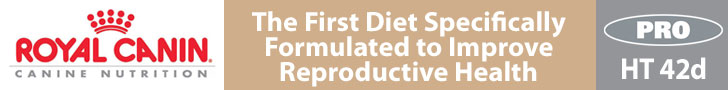 Royal Canin: The First Diet Specifically Formulated to Improve Reproductive Health