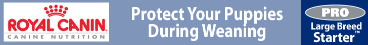 Royal Canin Canine Nutrition: Protect your puppies during weaning with PRO Large Breed Starter
