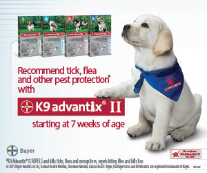 Recommend tick, flea and other pest protection with K9 Advantix II starting at 7 weeks of age.