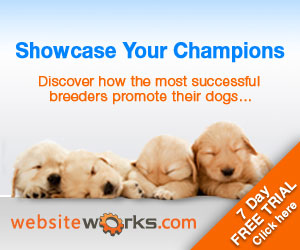 Showcase Your Champions: Discover how the most successful breeders promote their dogs...7 day free trial. Click here! websiteworks.com