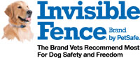 Invisible Fence