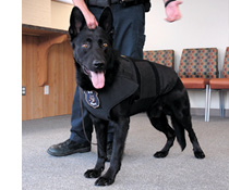 Sedalia Kennel Club