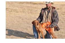 Pointing Breed Field Trial
