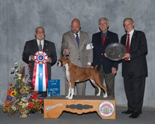 San Antonio Kennel Club