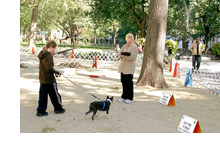 Northern Neck Kennel Club
