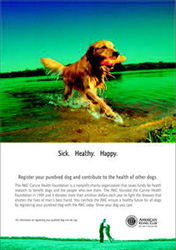 Ad example