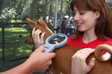 Microchip Clinic
