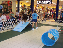 Volusia Event