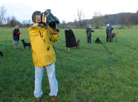 Filming a dog show