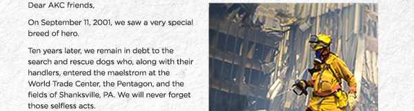 On September 11, 2001, we saw a very special breed of hero.