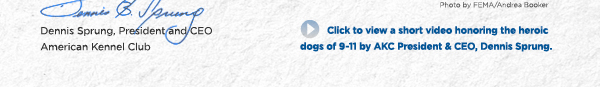 Click to view a short video honoring the heroic dogs of 9-11 by AKC President and CEO, Dennis Sprung