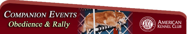 Obedience & Rally Newsletter