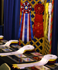 Awards