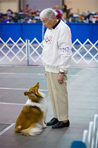 Obedience Competition