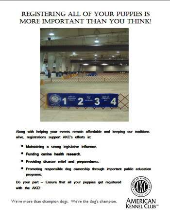AKC Registration is Important for all Dogs