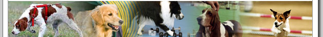 A Publication of the AKC Event Operations Department