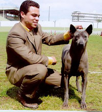 Raul F Hernandez Rubio
