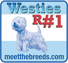 Meet the Breeds