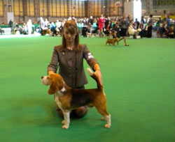 Crufts
