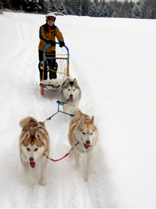 Eric Blanker and Siberian Huskies