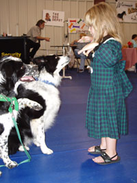 Oshkosh Kennel Club
