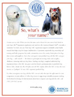 What's Your Name?