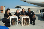 Preparedness Saves Pets' Lives